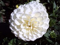photos 2000-200902742